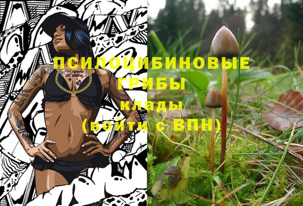 мдма Вяземский